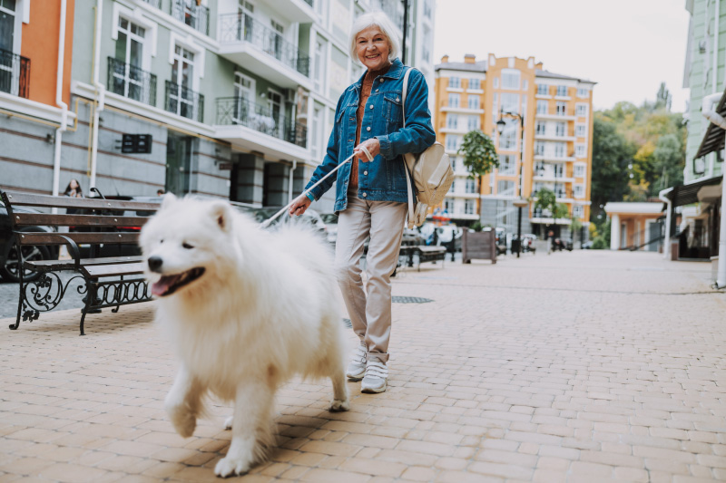 calmante per cani2 - Teknofarma