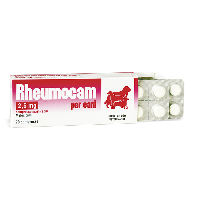 rheumocam compresse 25 gm 2 - Teknofarma