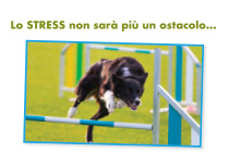 pet remedy adv settimana veterinaria agility - Teknofarma