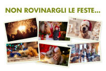 pet remedy adv settimana veterinaria natale 2021 - Teknofarma