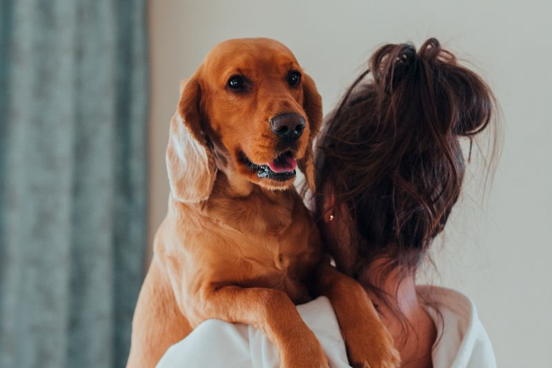 stress botti cane - Teknofarma