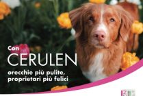 cerulen 1 1 - Teknofarma